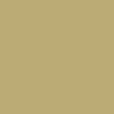 RAL 095-70-30