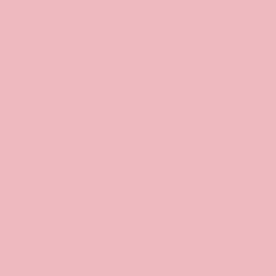 RAL 010-80-20