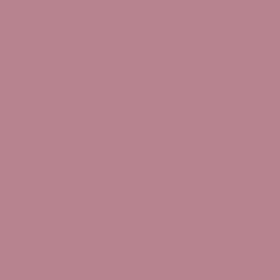 RAL 010-60-20