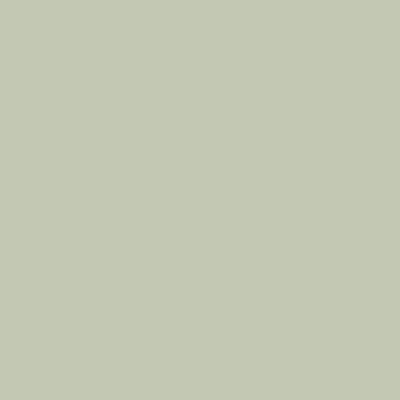 RAL 120-80-10