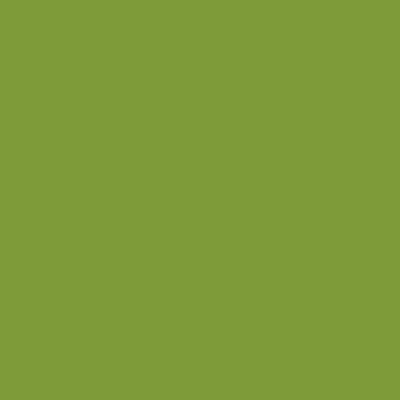 RAL 120-60-50