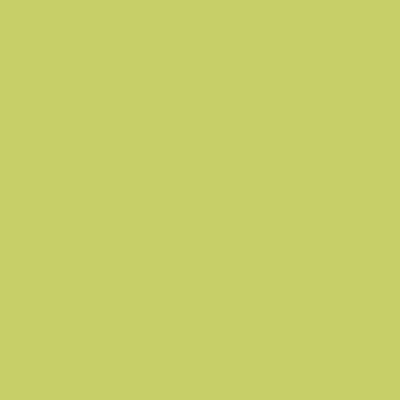 RAL 110-80-50