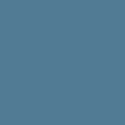 RAL 250-50-20