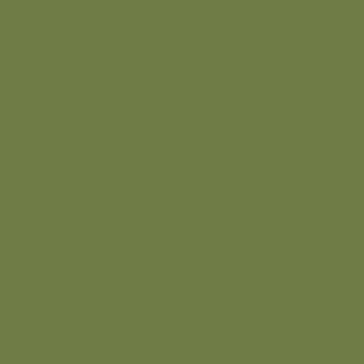 RAL 120-50-30