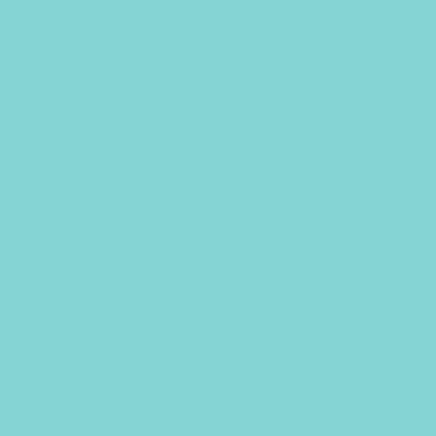 RAL 200-80-25