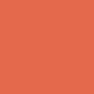 RAL 040-60-60