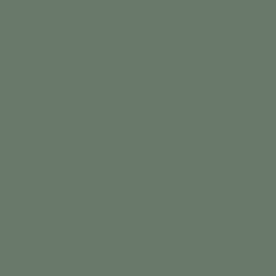 RAL 150-50-10