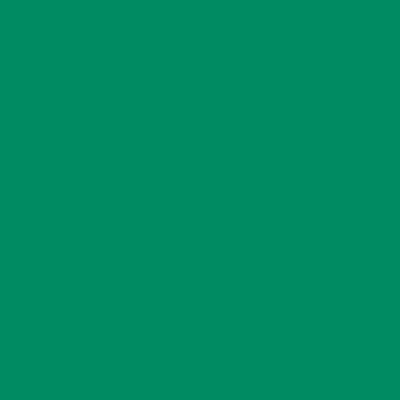 RAL 170-50-50