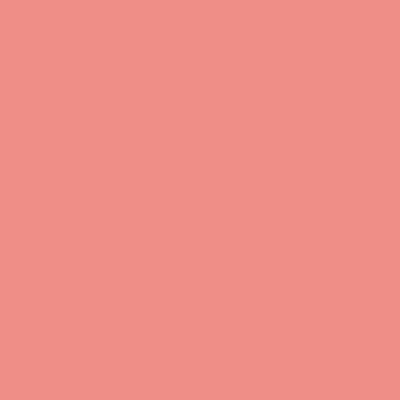 RAL 030-70-40