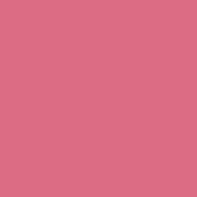 RAL 010-60-45