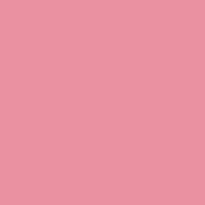 RAL 010-70-35