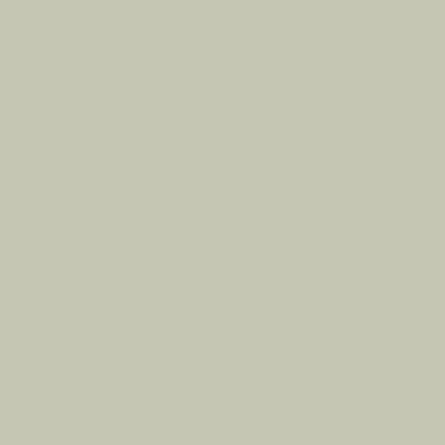 RAL 110-80-10