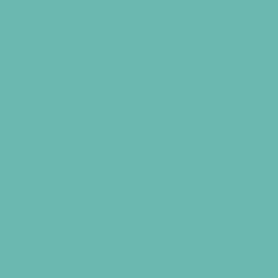 RAL 190-70-25