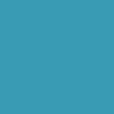 RAL 230-60-30