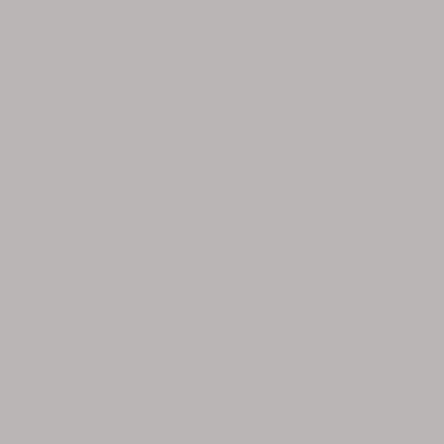 cool gray 4 u - Pantone - Pulverlack