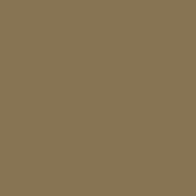 RAL 085-50-20