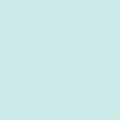 RAL 210-90-10