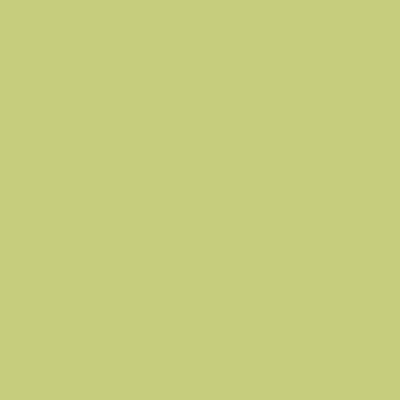 RAL 110-80-40