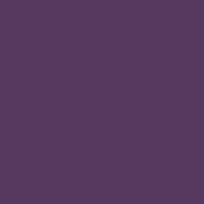 RAL 320-30-25