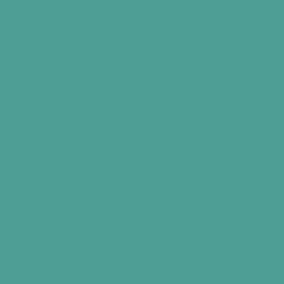 RAL 190-60-25