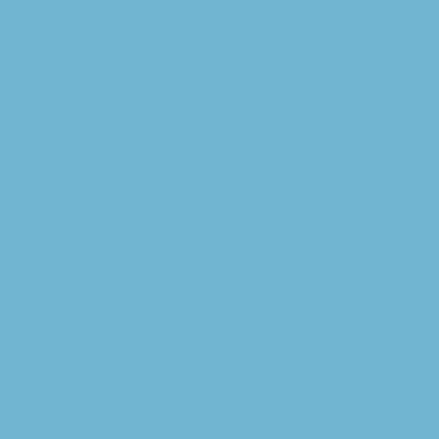 RAL 240-70-25