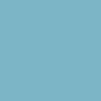 RAL 230-70-20