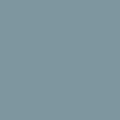 RAL 230-60-10