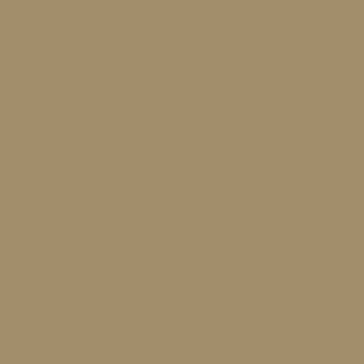 RAL 080-60-20