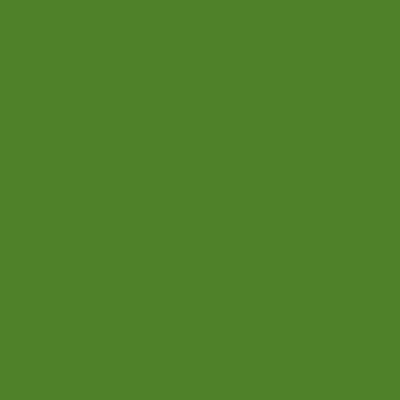 RAL 130-50-50