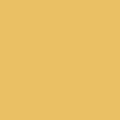 RAL 085-80-50