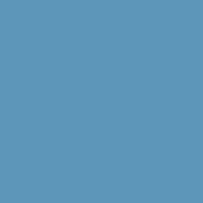 RAL 250-60-25