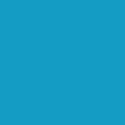 RAL 240-60-35