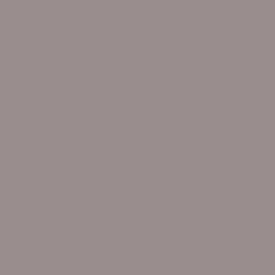 RAL 020-60-05
