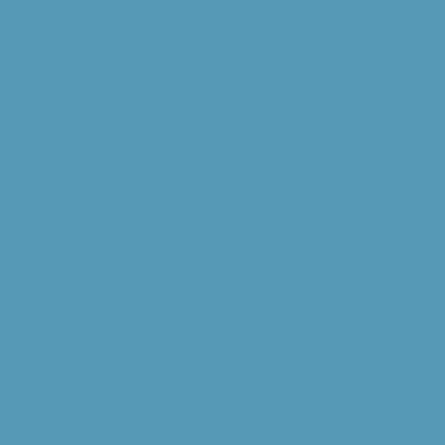 RAL 240-60-25