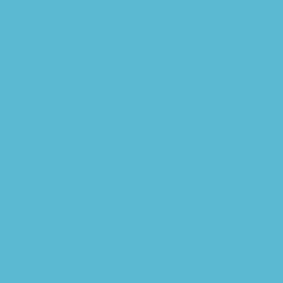 RAL 230-70-30