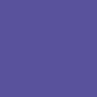 RAL 300-40-45