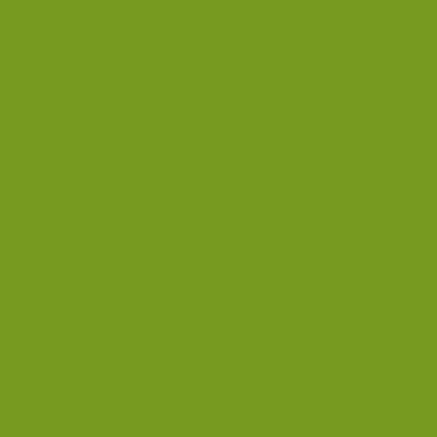 RAL 120-60-60