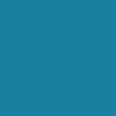 RAL 240-50-30