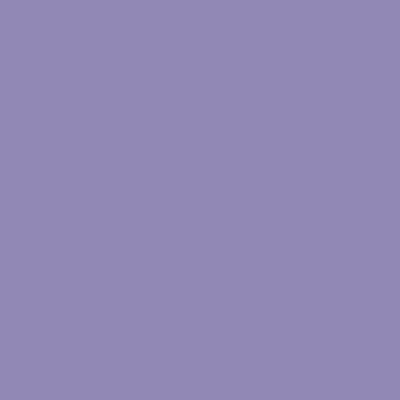 RAL 300-60-25