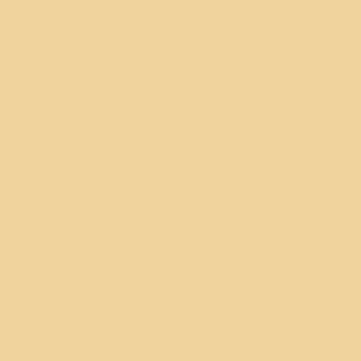 S1020-Y10R - NCS