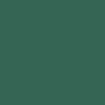 RAL 170-40-20