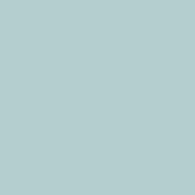 RAL 210-80-10